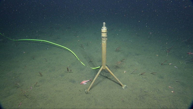 The hydrophone on Smooth Ridge outside of Monterey Bay.